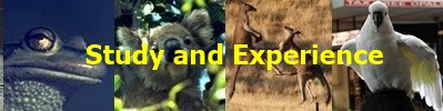Study and Experience